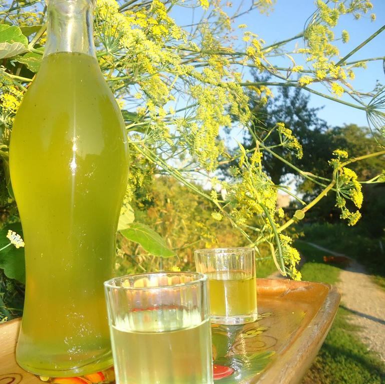 Agriturismo Zi Carmine Agerola Εξωτερικό φωτογραφία